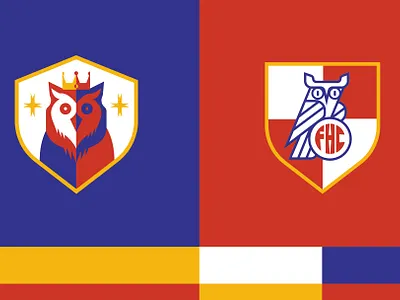 Hoot suite branding football logo owl