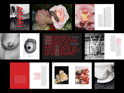Nobuyoshi Araki Zine art art direction editorial design fanzine graphic design magazine magazine design photography typography