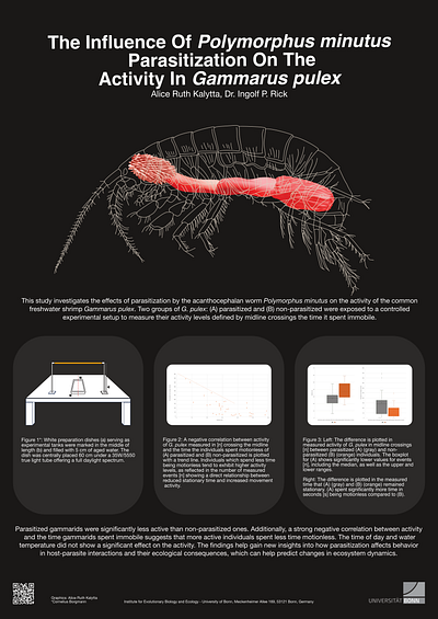 Science Conference Poster 3d animation academia affinity designer gammarus graphs illustration infographic parasite poster poster design science science conference science conference poster scientific research shrimp