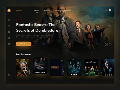 Movie Streaming Websites UI Design