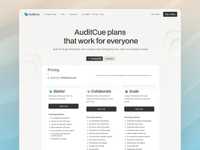 AuditCue Pricing Page auditcue compliancemanagement design designinnovation flowtrix landingpage motion graphics revamped riskmanagement ui userexperience webflow