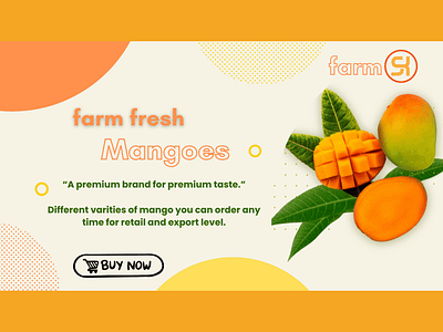 Organic Mango Farm branding css3 graphic design html5 javascript php responsive ui ux webdesign webdevelopment wordpress