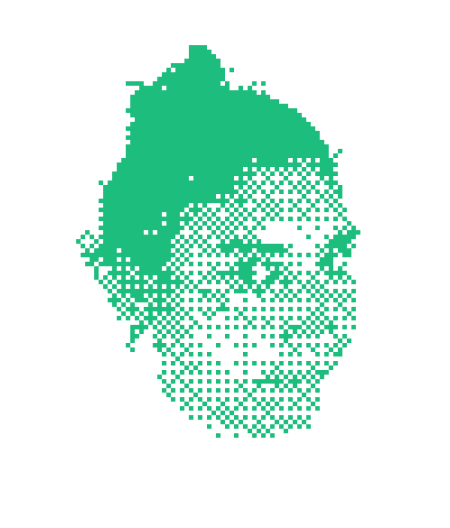 indexed head of woman 1 bitmap indexed pixel spin