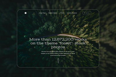 Forest Photography Design 🌲 branding design graphic design ui ux web webdesign концепт фигма фотография фотошоп