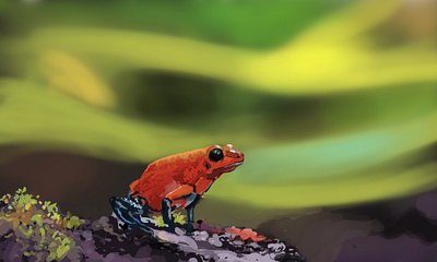 Frog on the Rock animal digitalart frog graphic design illustration painting wildanimals