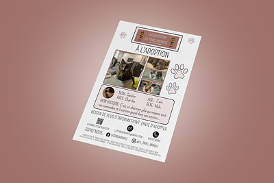 Pets Adoption Service Flyer Design flyer flyer design graphic design marketing materials pamphlet pets flyer poster print ready