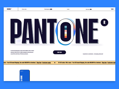 Pantone animation branding interactive landing page motion graphics ux web website