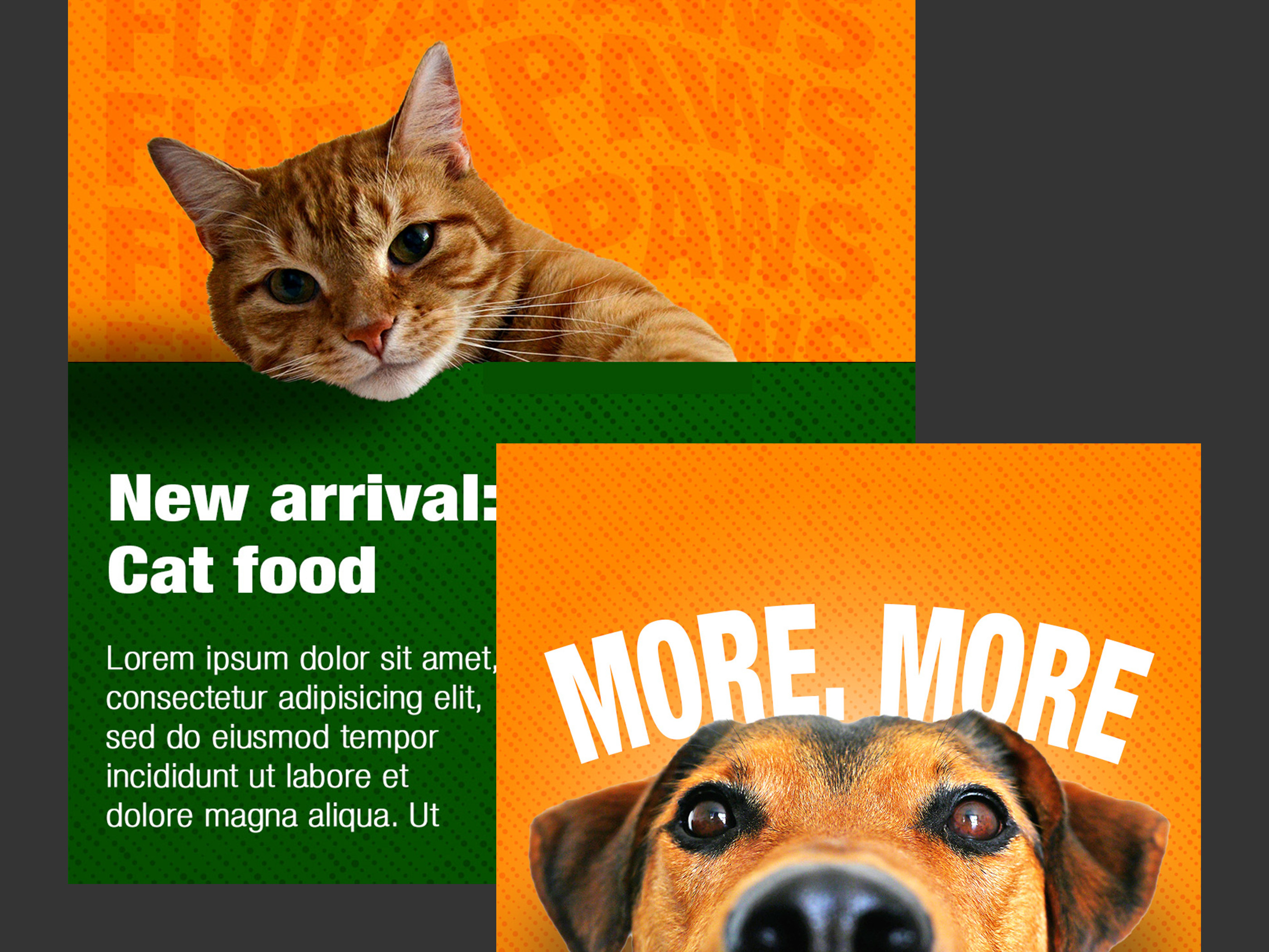 Pet Food Brand Instagram Post Design ad design ads ads design advertisement brand design branding design edit graphic design instagram instagram design instagram post photoshop post poster posts practice social media social media ads social media post