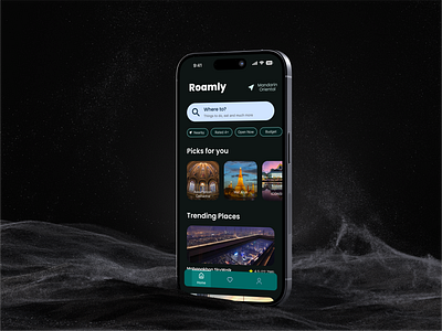 Roamly Travel App app design graphic design travel app travelling ui ui ux ux