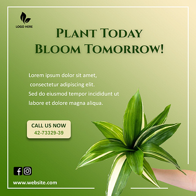 Plant Today Bloom Tomorrow! branding graphic design logo