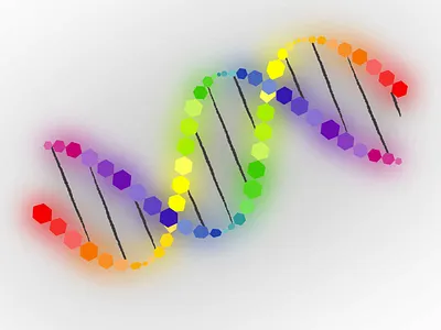 DNA Logo 4 2d dna aravind reddy tarugu brand dna dna dna analysis dna cloning dna design dna dntp dna formation dna gene dna helix dna illustration dna logo dna molecule dna sequence dna strand medical dna nucleotides scientists