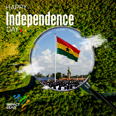 Independence Day poster design for different brands branding deisgn poster design flyer flyers graphic design graphic designer