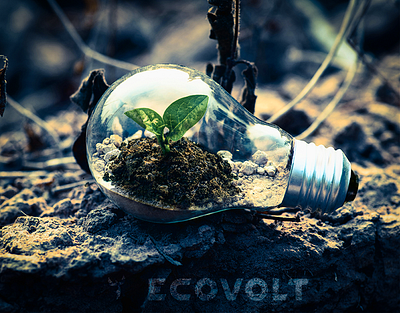 ECOVOLT | Brand Identity animation branding graphic design logo motion graphics