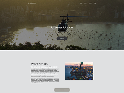 Blip Helicopter - Example case study monochromatic responsive design squarespace web design