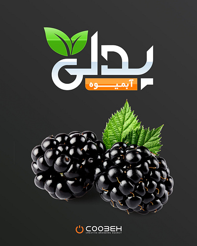 Persian logo design for the natural fruit juice brand Pedli branding graphic design logo ui