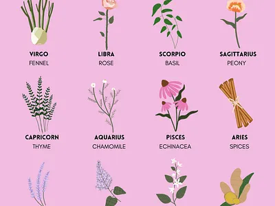 Your Ideal Scent Based on your Zodiac Sign abstract artist astrology design graphic design hgtv illustration illustrations illustrator social media illustration zodiac