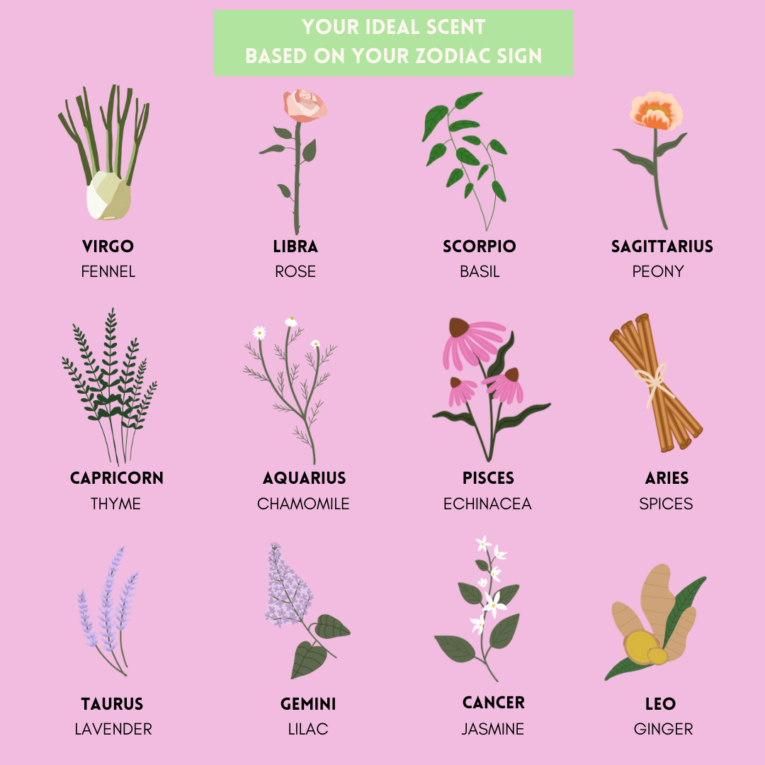 Your Ideal Scent Based on your Zodiac Sign by Effie Theodosiou on Dribbble