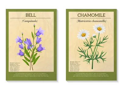Wild flower poster bouque flower illustration realistic vector wild