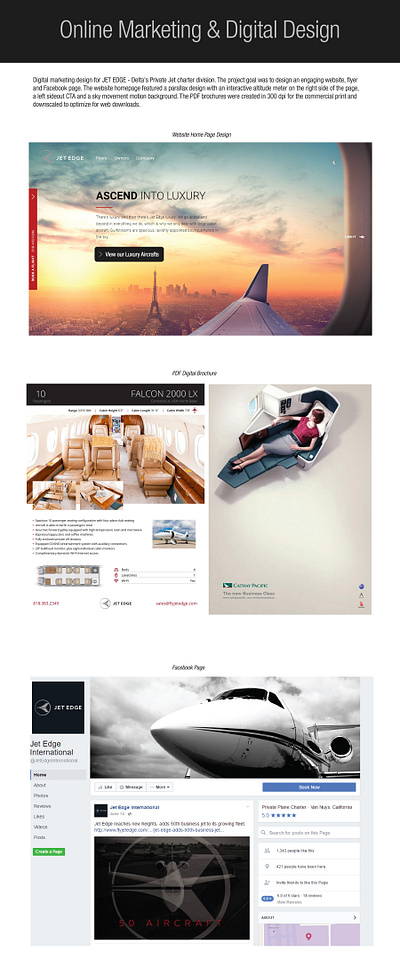 Delta Private Jets Website, Brochure & Social Media branding design graphic design logo typography ui ux vector