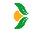 Example of Shot