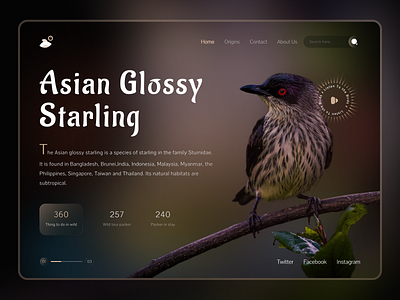 Birds Web UI banner bird button color creative design glassmorphism hero icon landing page nature typography ui ux web web design website wild life