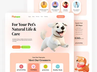Website for a Patcare Company ✦ experiment product ui ux web website