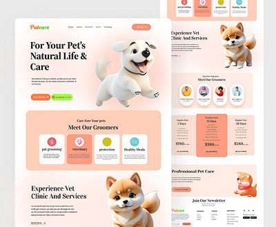 Website for a Patcare Company ✦ experiment design interface product service startup ul ux web website