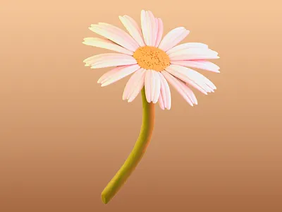 3D Whimsical Daisy 3d 3d daisy 3d design 3d elements 3d flower 3d illustration 3d objects 3d rendering design 3d visual charm of nature colourful design fresh and playful vibe gradient background joy lightness pink playful vibe soft colour palette vibrant colours warm texture