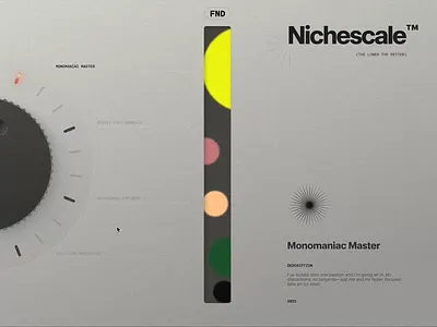 Nichescale – A or B? branding graphic design typography web design