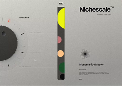 Nichescale – A or B? branding graphic design typography web design