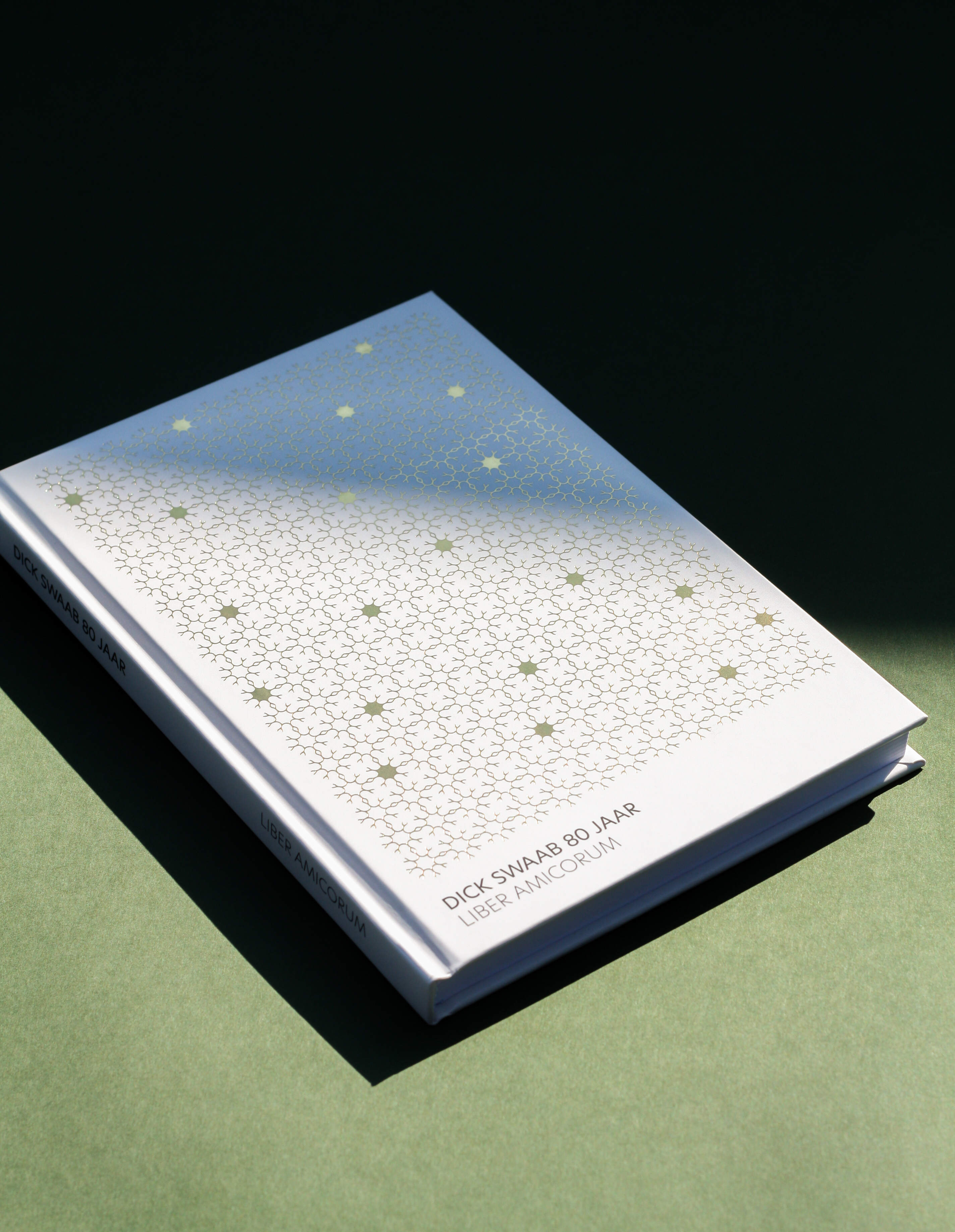 Book design - Liber Amicorum for Prof. Dick Swaab book book cover book design brain brain structure dick swaab gold foil graphic design liber amicorum neurobiology neuron neuroscience pattern