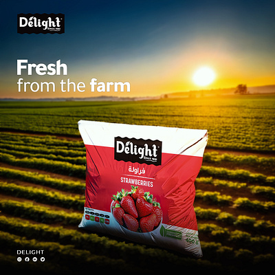 Delight adv bag creative creative idea design farm freez freez fruit fruit graphic graphic design packaging social media social media design srawberry freez straberry bag strawberry strawberry farm sun sunset