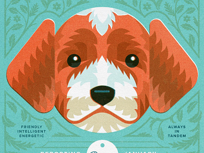 The New Recruit adobe branding cute dog goldendoodle illustration illustrator print promotion puppy risograph script vector