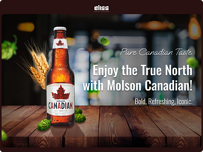 Molson Canadian Beer – Hero Banner Concept 🍻 branding design figma graphic design ui ui design ux design ux ui design webdesign