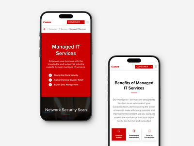 Canon IT Website canon it clean modular website red website white