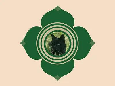 Tíbet branding cat classic design earth flower graphic design illustration logo nature plants spiritual tibet