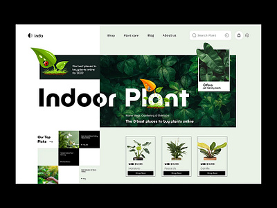 Plant website design design plant ui ux website