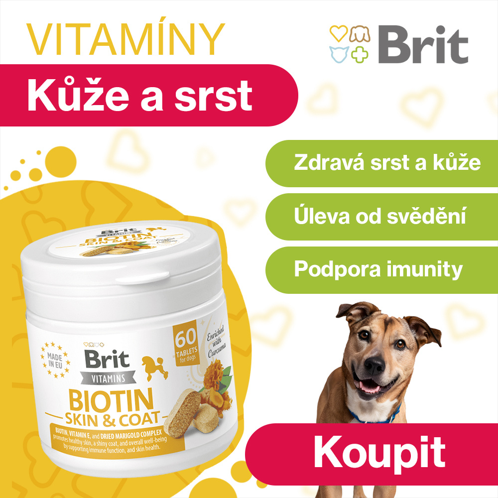 Pet Food / Supplement - Social Media Design, Post, Ad 2d animation 2d motion graphics after effects animation cat food design dog food graphic design illustration illustrator motion graphics pet pet food pet supplements photoshop supplements