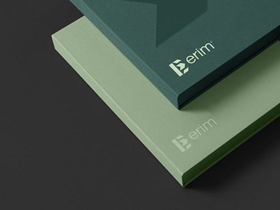 erim© book logo brandidentity branding creative design e logo e logo design graphic design innovative letter e lettermark logo logomark logotype modern nextmahamud reading symbol