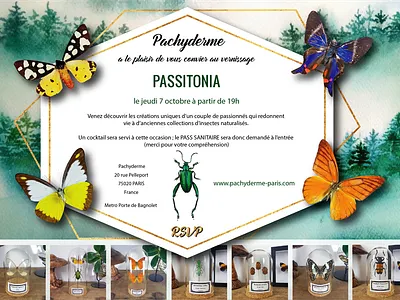 Business cards, gift cards, invitations card corporate design graphic illustration invetation