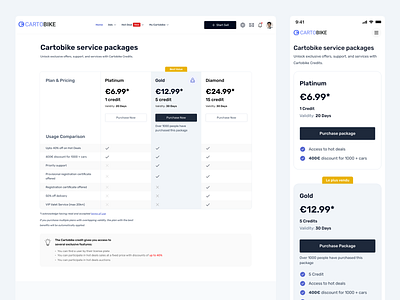 Minimal Plan & Pricing Page Responsive UI Design minimal ui plan pricing pricing page responsive pricing page saas design ui ux design