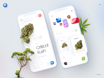 Cannabis E-Commerce UI Concept app app design cannabis cbd inteface marijuana natural organic plants thc ui ux weed