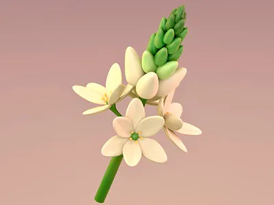 3D Design: White Flowers 3d 3d art 3d art work 3d design 3d model abstract design clean digital art flower flower model inspire nature pink background plant smooth soft colors soft lighting solid background warm colors white flowers