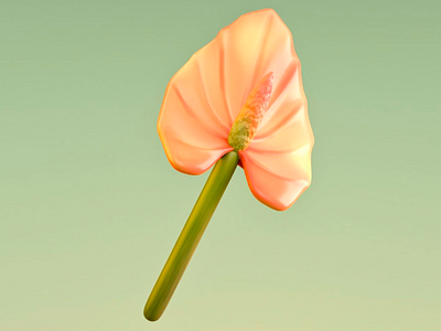 3D Modesl of Anthurium Flower 3d 3d art 3d art work 3d design 3d flower 3d visual anthurium clean floral flower design gradient gradient background heart shaped nature peach plant smooth soft soft lighting warm colors