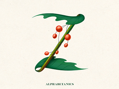 Z for Alphabetanics 36 days of type alphabet alphabetanics botanic floral design illustration procreate typography typography design z