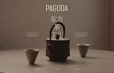 Pagoda Branding & Packaging Design / Brand Identity / Tea asia branding characters china culture design graphic design layout logo mexico multicultural packaging tea tea house teapot typography ui visual identity