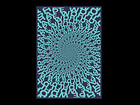 Example of Shot