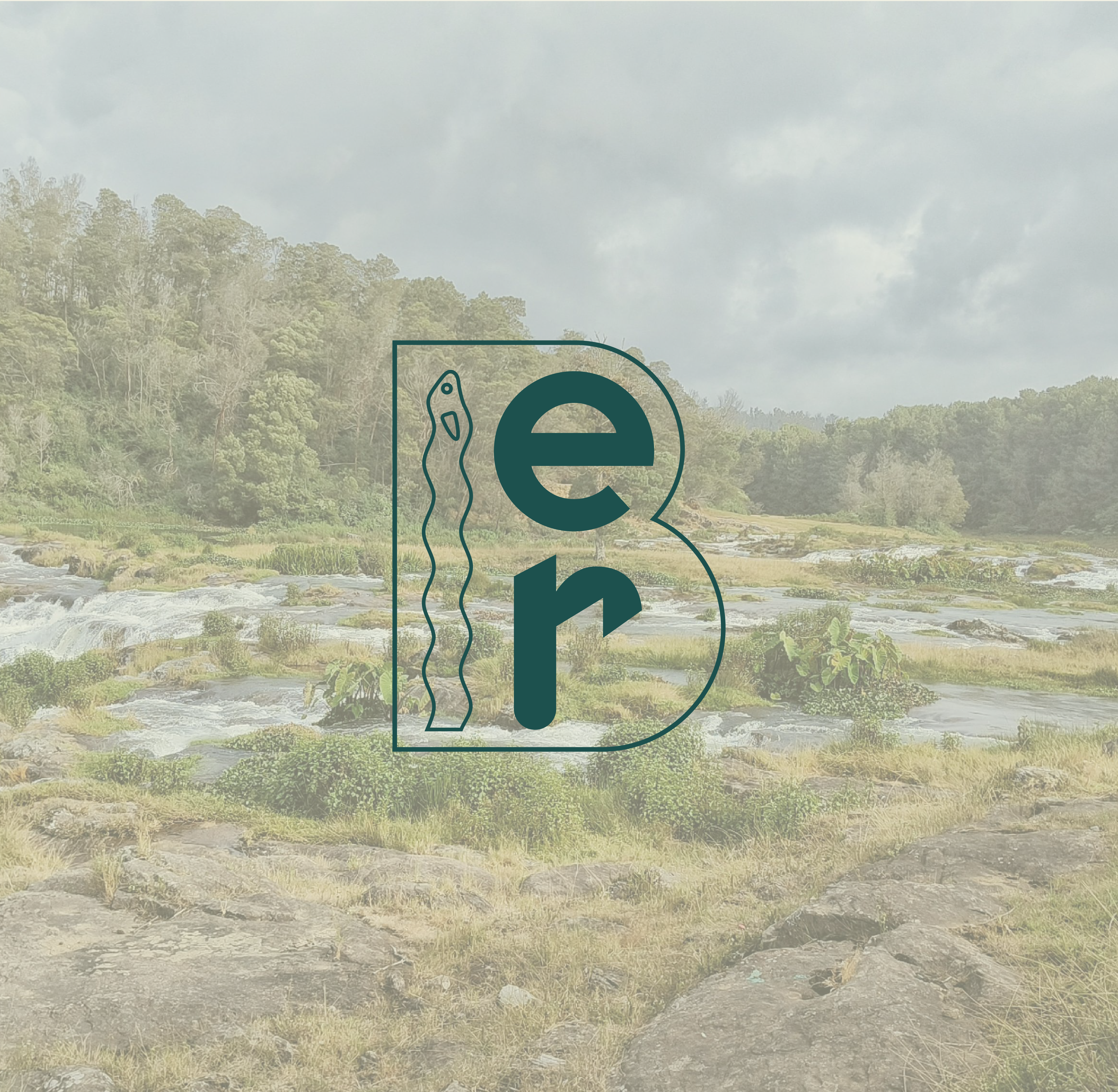 Eel River Bourbon Logo and Branding Design branding digital illustration graphic design illustrator label design logo