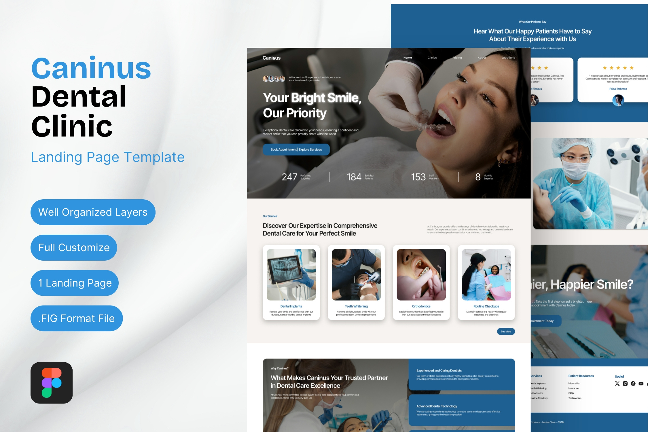 Caninus Dental Clinic Website branding clinic dental dentist graphic design landing page ui uiuix website