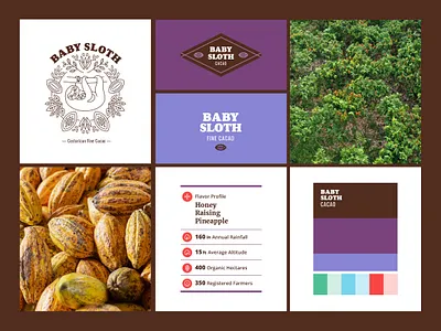 Baby Sloth Cacao branding cacao chocolate costa rica icon identity logo logotype mark